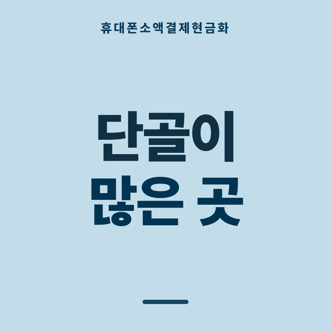 품티켓 휴대폰 회선의 소액결제현금화 값이 매겨지는 판단 기준 안내 이미지